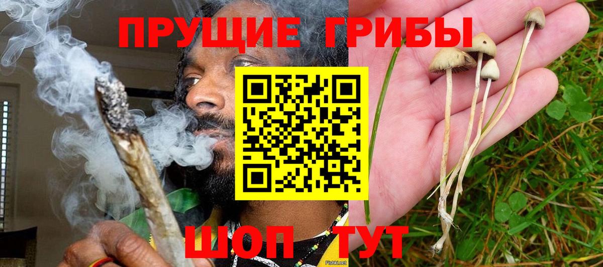 Новоалександровск  Галлюциногенные грибы GOLDEN TEACHER  Вход с VPN  Псилоцибиновые грибы Magic Shrooms 
