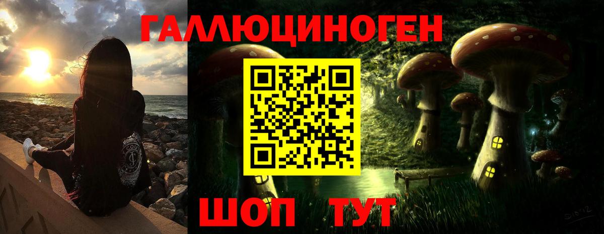 Галлюциногенные грибы MAGIC MUSHROOMS Новоалександровск