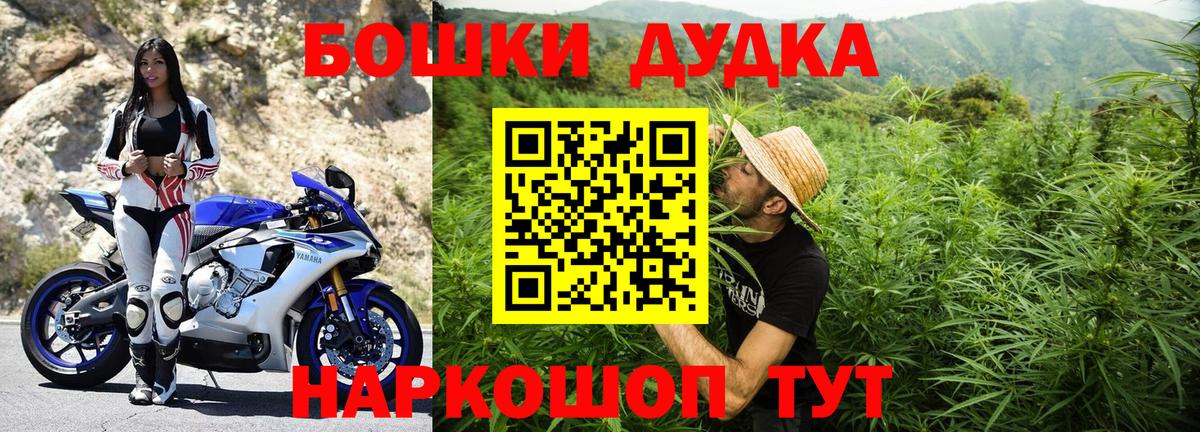 Лсд 25 Новоалександровск